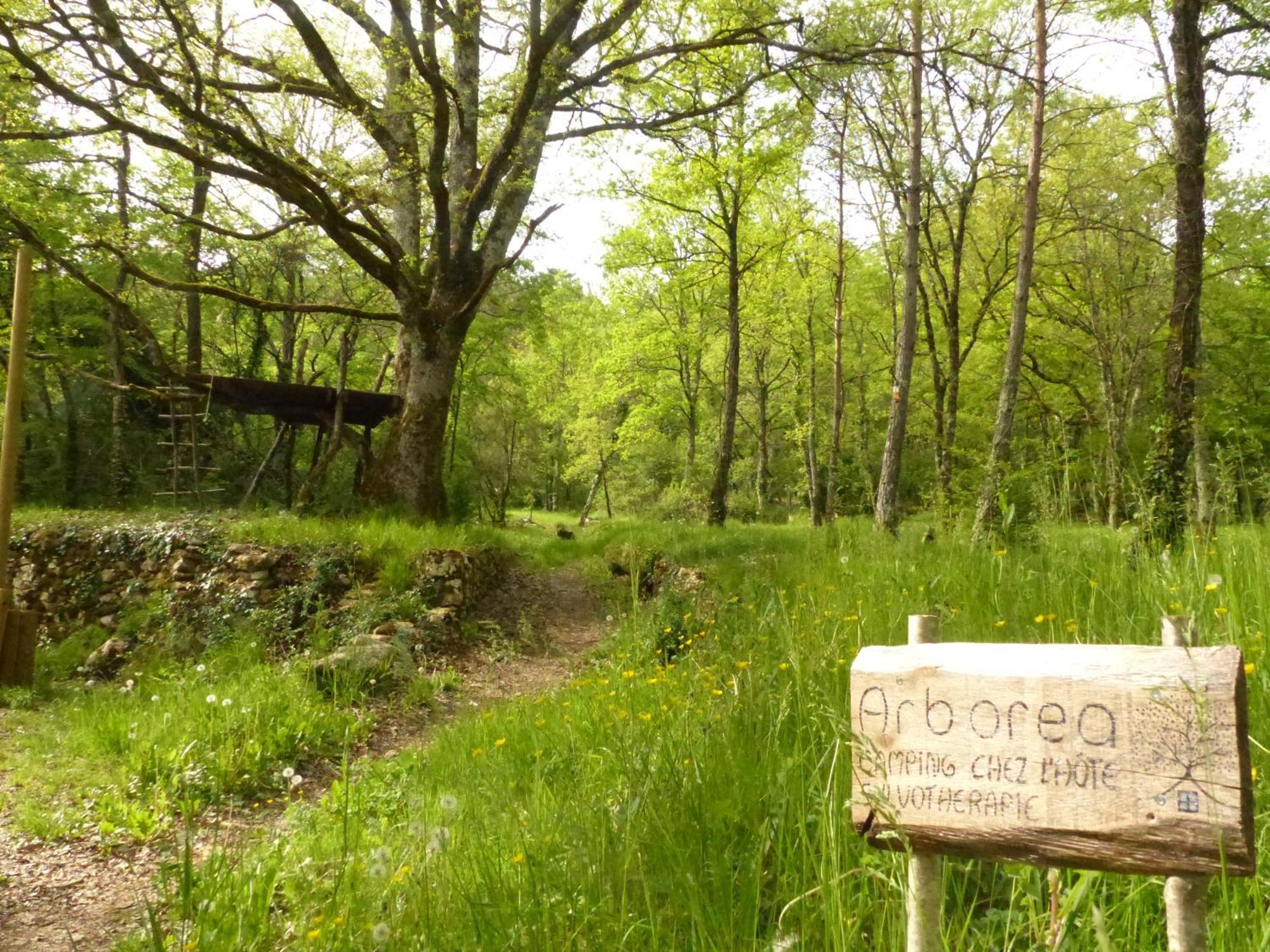 Luxury tent Arborea, Nuits Insolites Au Coeur De La Foret Montignac-Lascaux