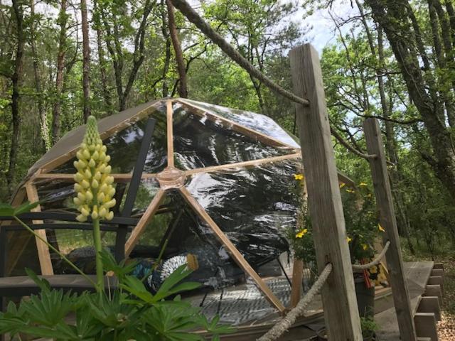 Arborea, Nuits Insolites Au Coeur De La Foret *