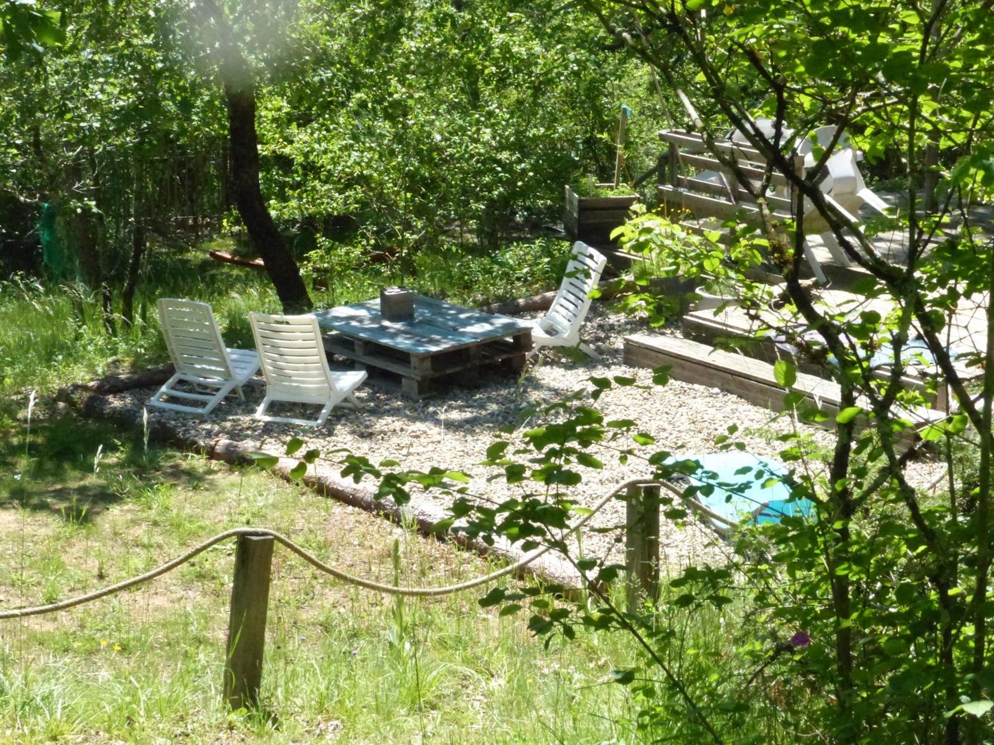 Arborea, Nuits Insolites Au Coeur De La Foret *